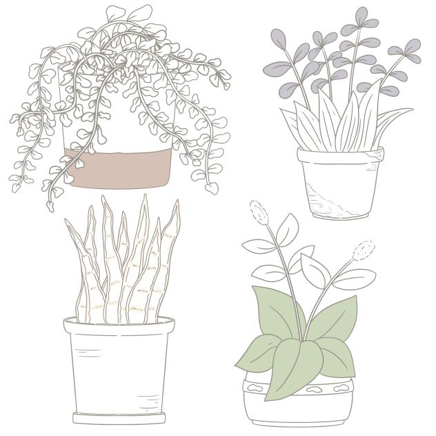 Desk Plant II