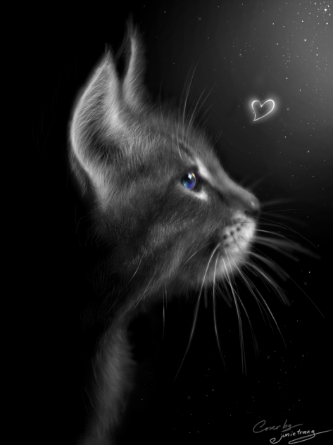 The Cat - ibisPaint