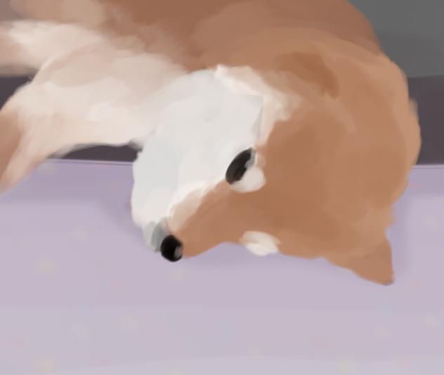Zzz
