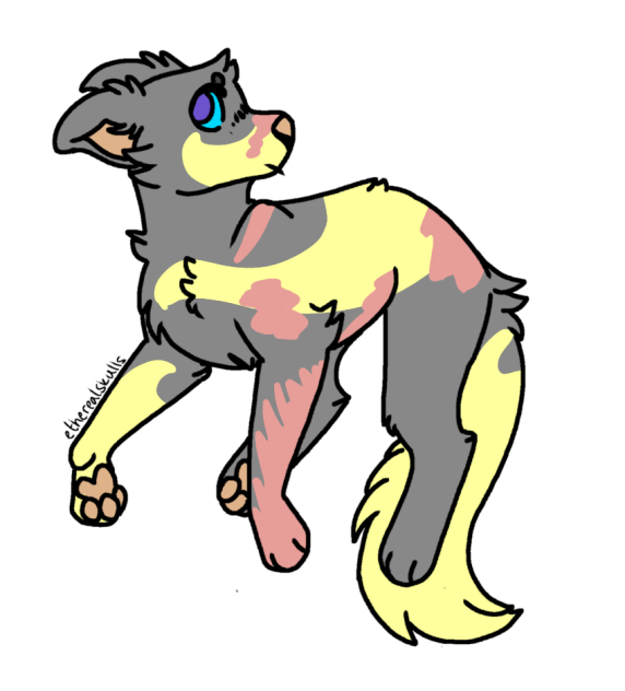 FB Adopt 2