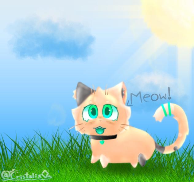 Meowz!¡ 🐾🧡