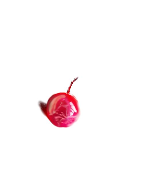 fruit - ibisPaint