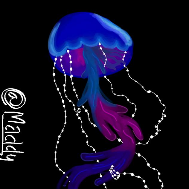 Jellyfish (Attempt 1)