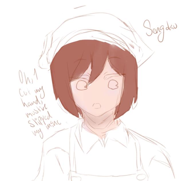 Sengoku Wip