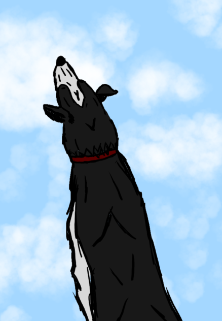 Tim