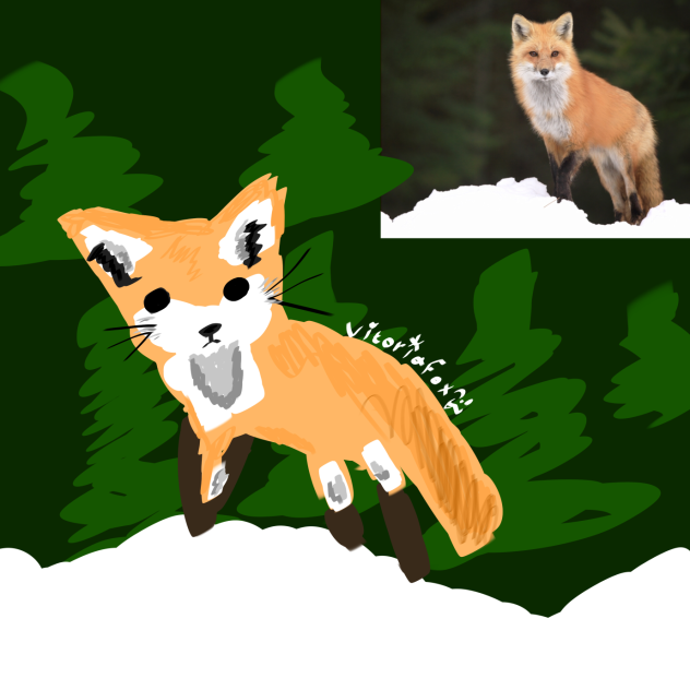 Red Fox 🔴 🦊