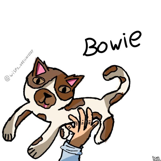 Bowie =D