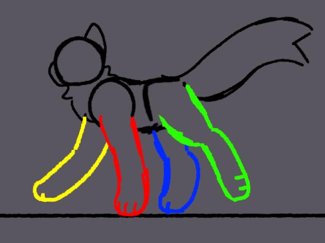 cat walk cycle