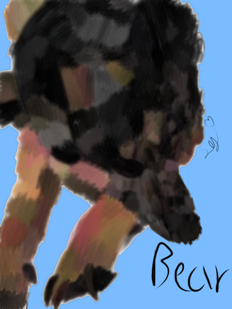 Bear 🐻🐻