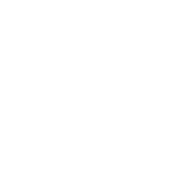 zodiac Constellation - Capricorn