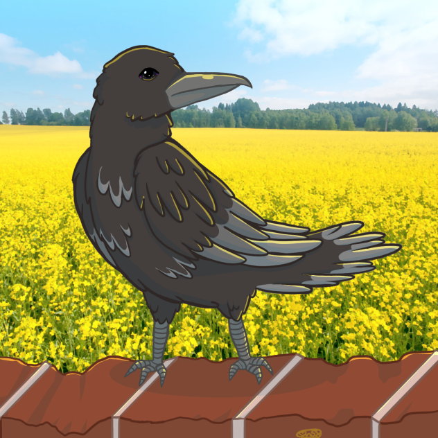 One for Sorrow, Two for Mirth