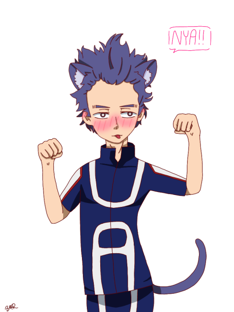 Shinso cat
