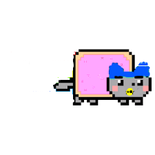 nyan cat (baby)