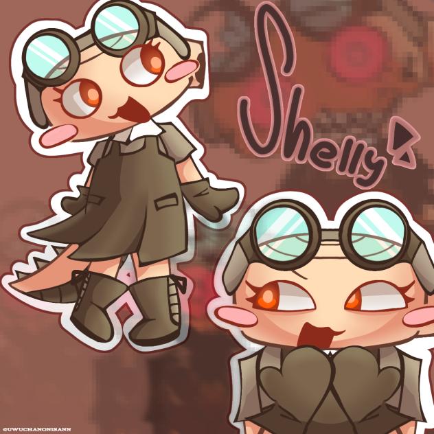 Shelly Reference Sheet