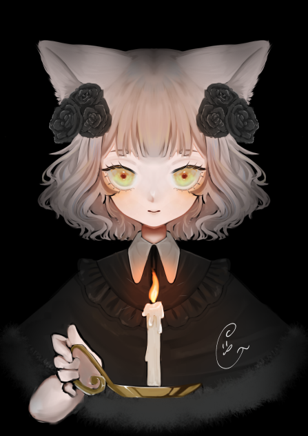 🐱の日