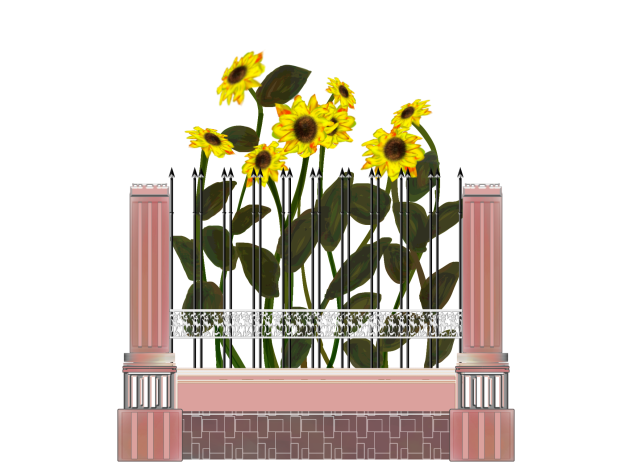 Flowers behind the fence2