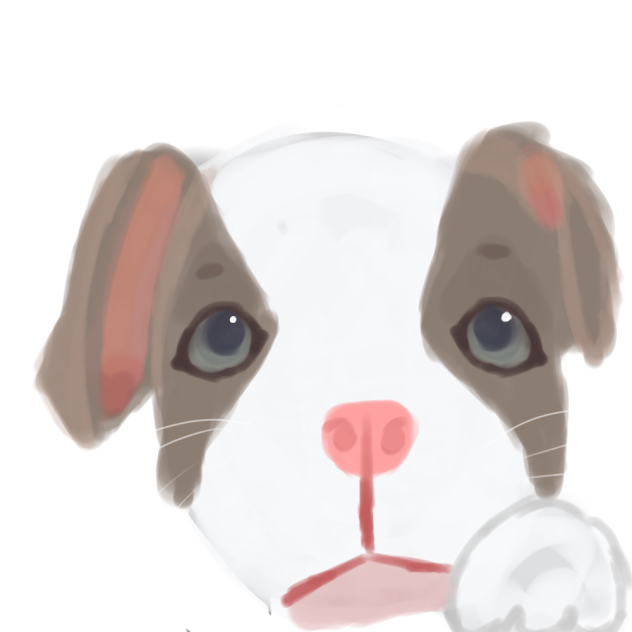 pitboy = pitbull puppy🐶