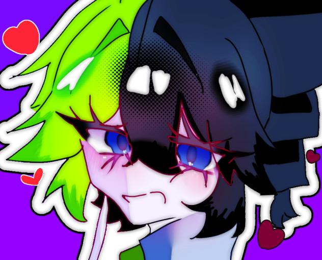 来たきゃん