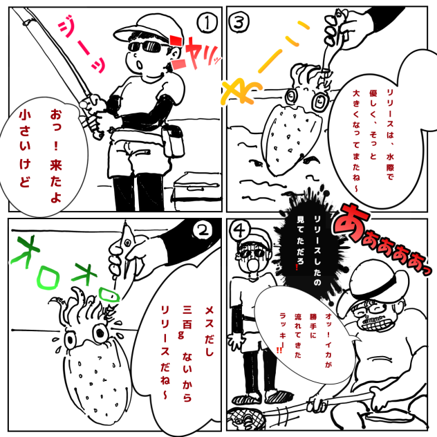 コージくんのイカ日記