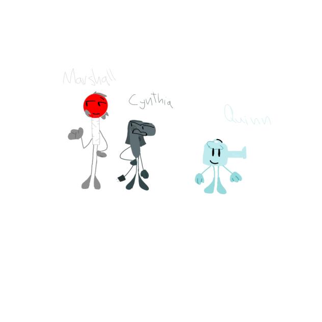 Quinn's family