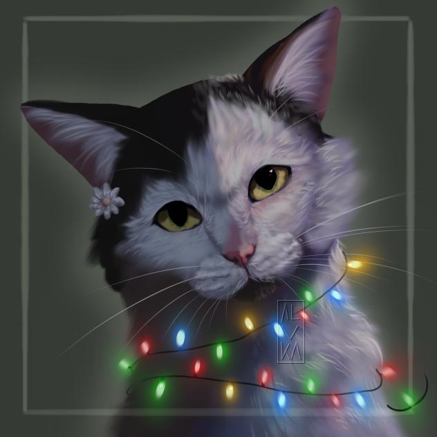 Festive lights
