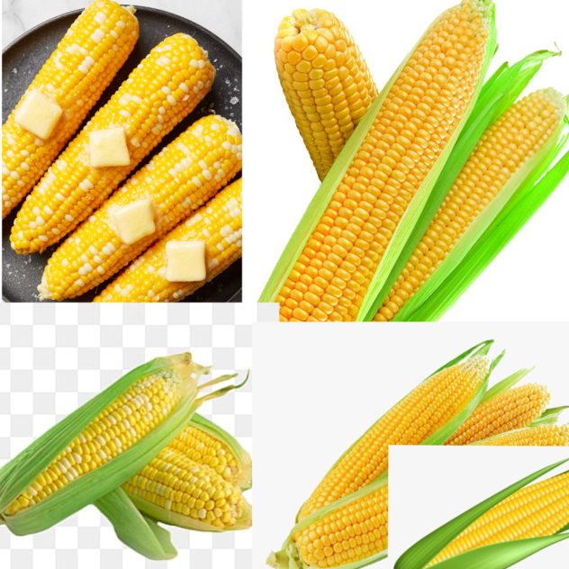 corn