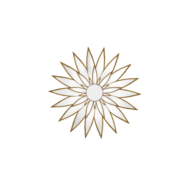 european  mirror 1