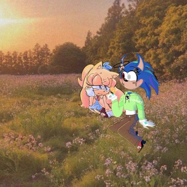Look at them sitting in the sunset
