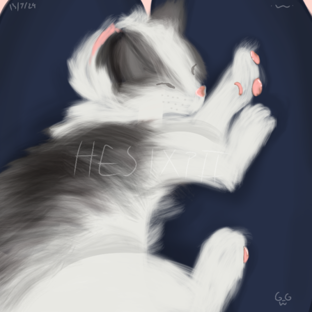 🐈‍⬛