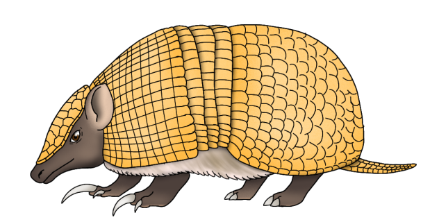 Brazilian three-banded armadillo render