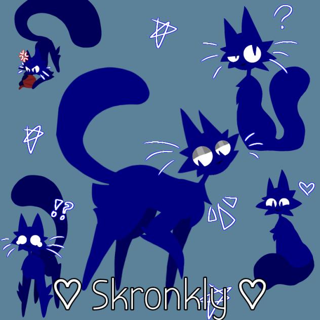 ♡ Skronkly ♡