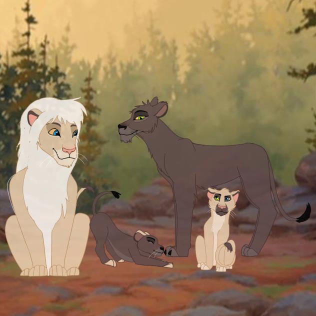 leões lions