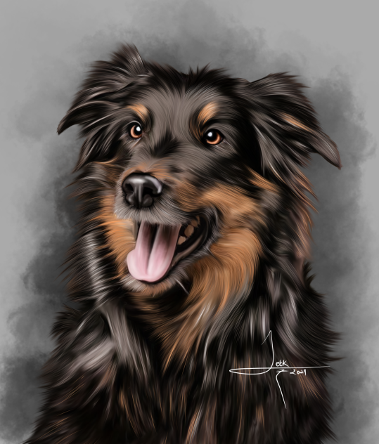 DOG - ibisPaint