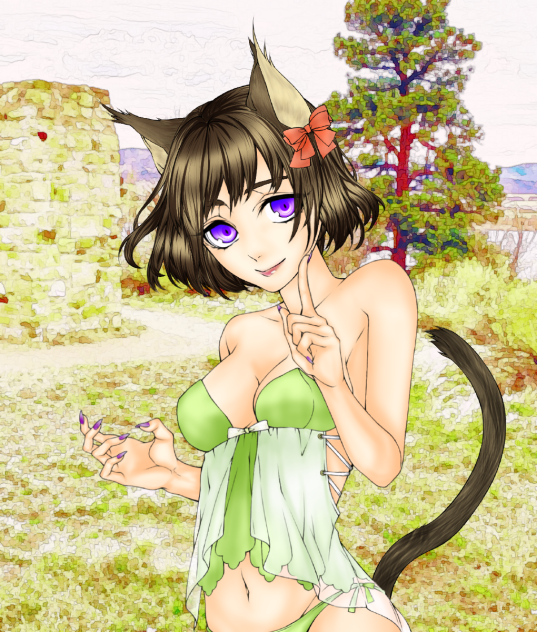 塗らせていただきました