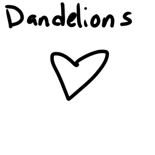 Dandelions 🌼 🌼🌼