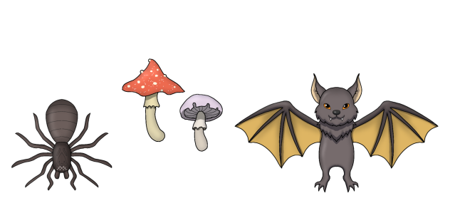 Witch Accessories
