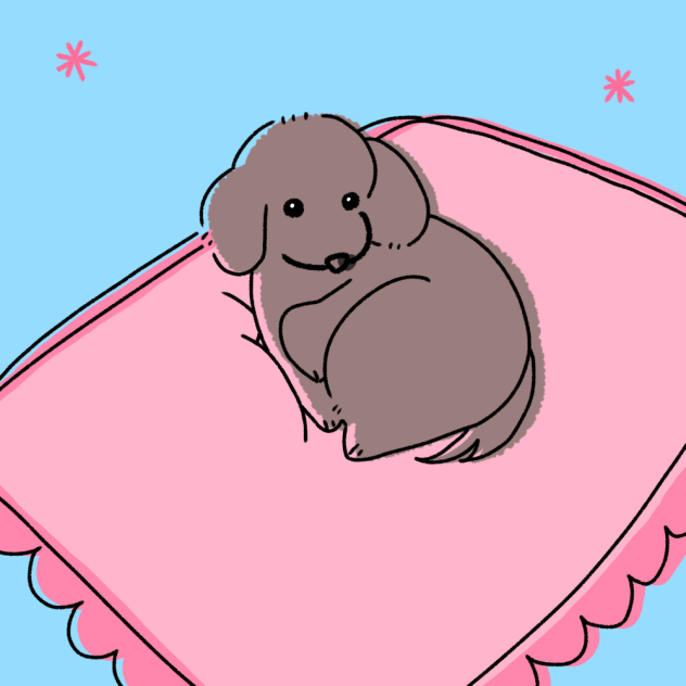 カーペットのうえ