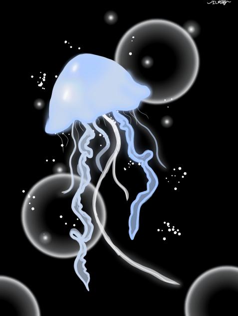 Jellyfish - ibisPaint