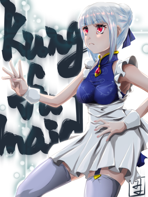 Kung fu maid 2