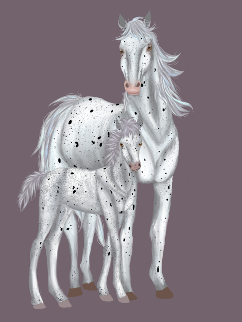 sso app horses - ibisPaint