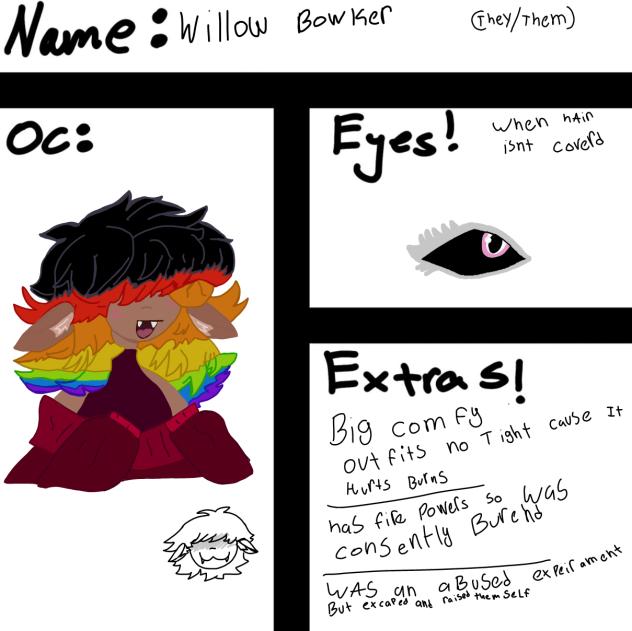 Willow cs
