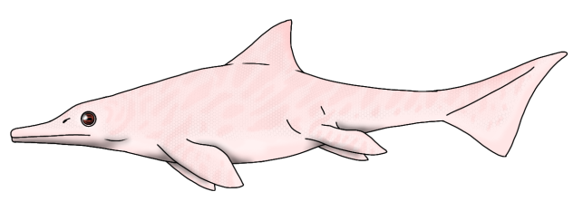 Common Efadefish (albino) render
