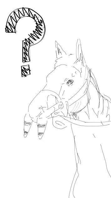 ホエールキャプチャさん