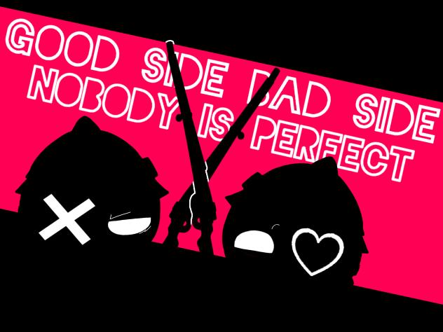 good side bad side nobody is perfect
