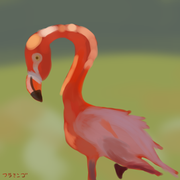 フラミンゴ