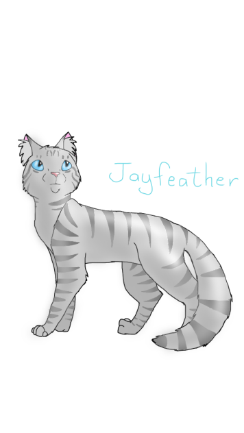 Jayfeather