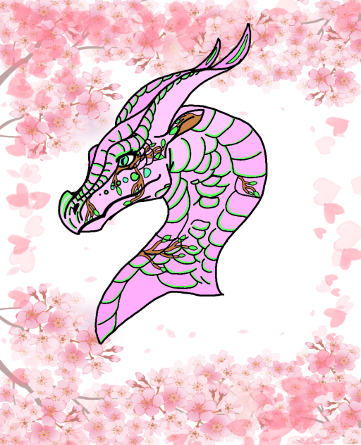 🌸 Blossom 🌸