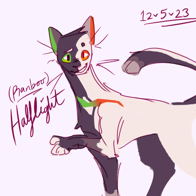 Ranboo as a Warrior Cat