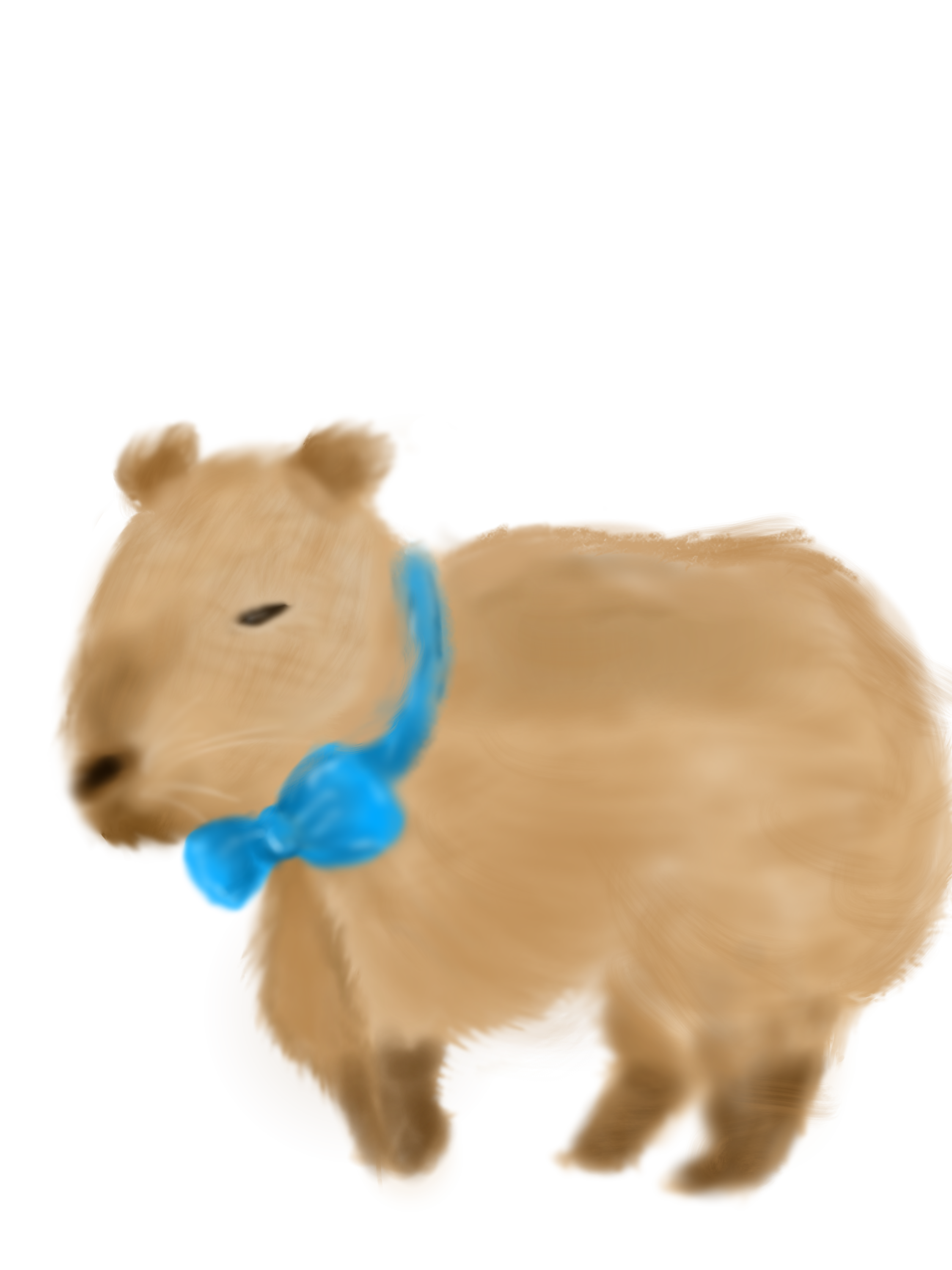 Capybara - ibisPaint