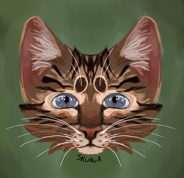 My first realistic cat drawing